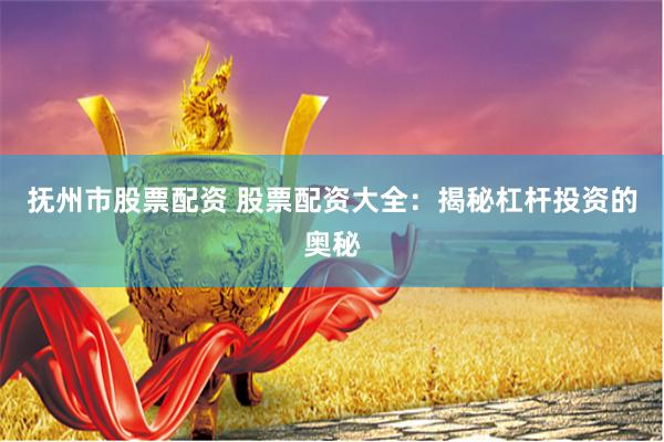 抚州市股票配资 股票配资大全：揭秘杠杆投资的奥秘