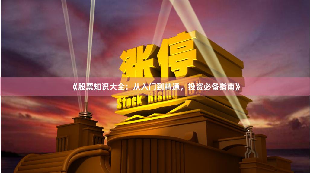 《股票知识大全：从入门到精通，投资必备指南》