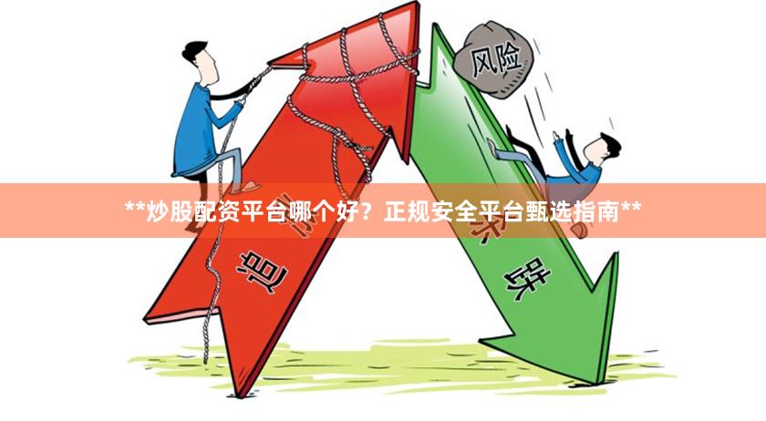 **炒股配资平台哪个好？正规安全平台甄选指南**